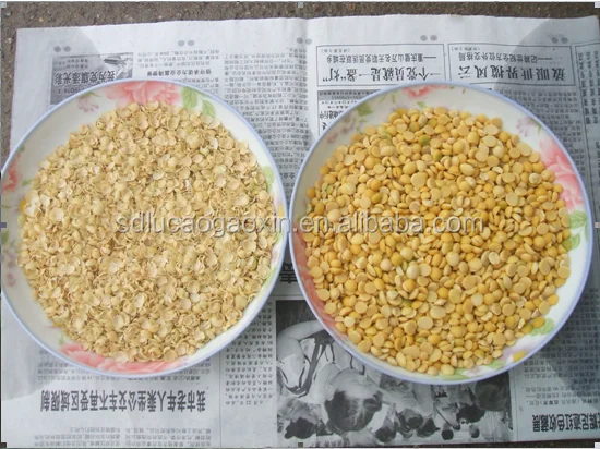 
soybean processing equipment/soya beans peeling machine/soya beans peeler for India 