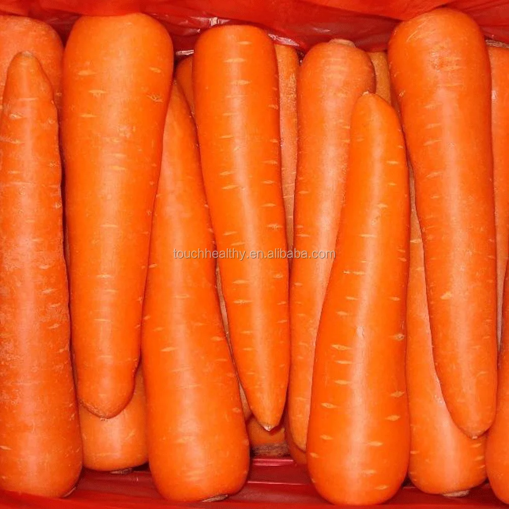 2021 supply hybrid carrot seeds