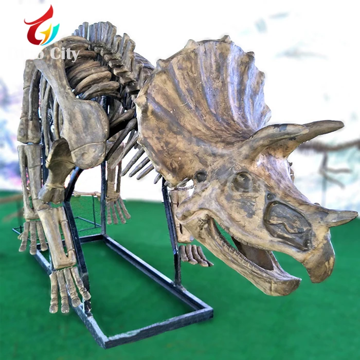 Museum Decorative Dinosaur Fossils Model for Sale