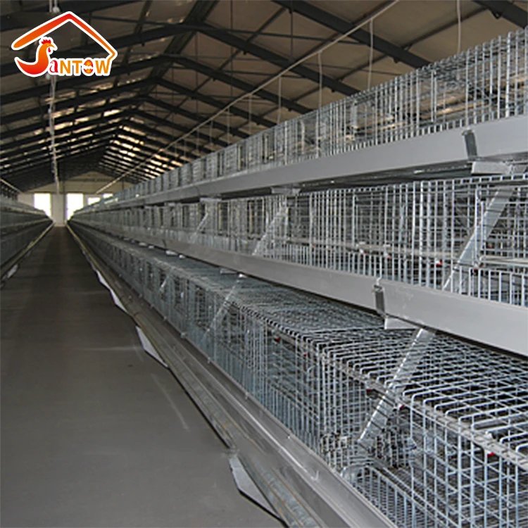 hot galvanizing chicken cage for poultry equipment A type 3 tier 4 tiers 160 birds chicken layer battery cage for sale