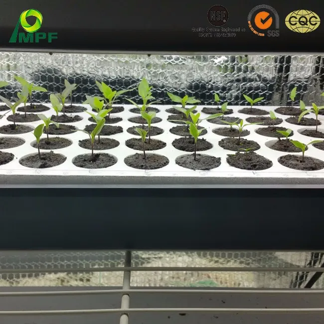 EPP foam eco friendly seed trays with drain hole hydroponic growing systems