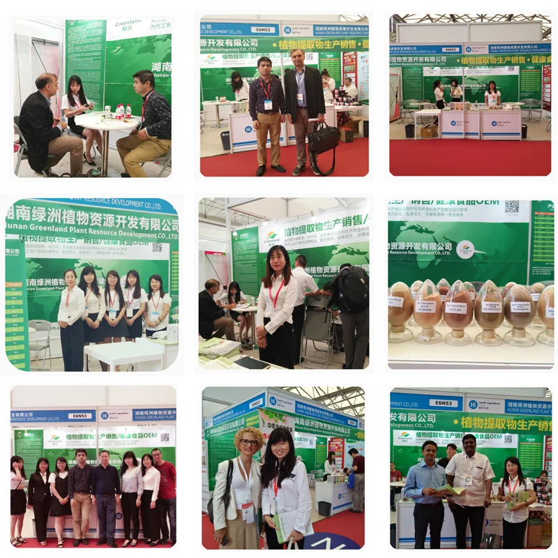 The Body Shop strawberry Powder Organic Freeze Dried high vitamin C  Fruit Flavor For Cooking