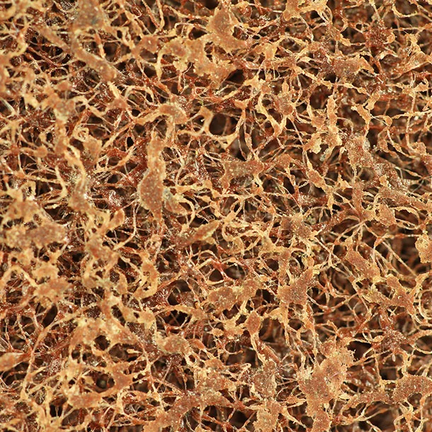 Abrasives Non-Woven Wheel for smooth finished surfaces