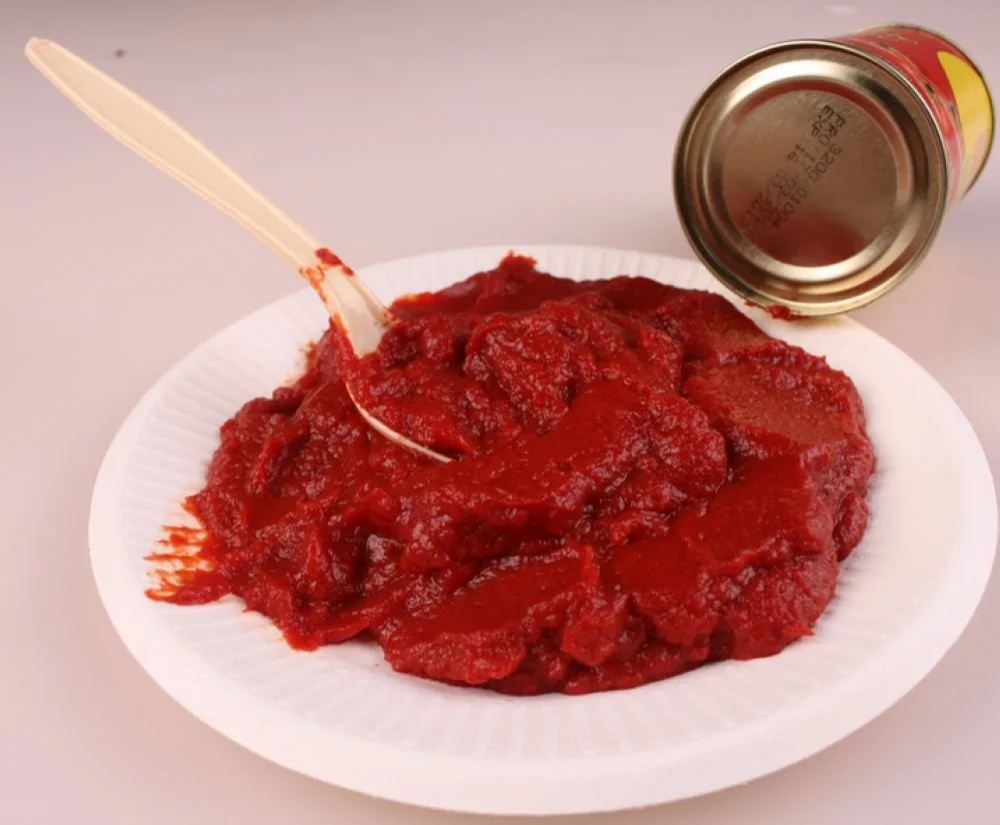 tin tomato paste brix28-30% for turkey