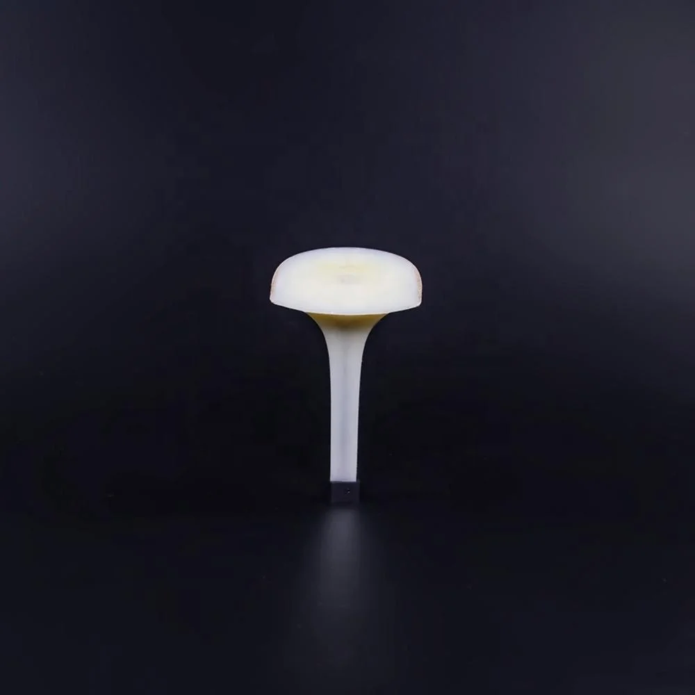 
High Quality Abs Shoe Heel Ladies 