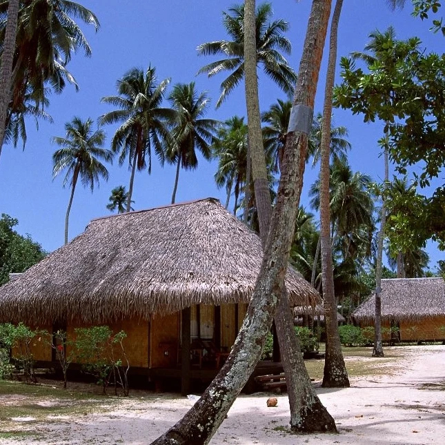 synthetic thatch roof tile for Resorts Decoration