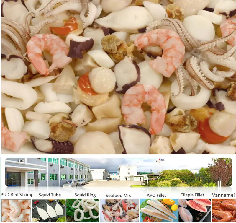 Seafood Export Iqfy frozen mix of sea food