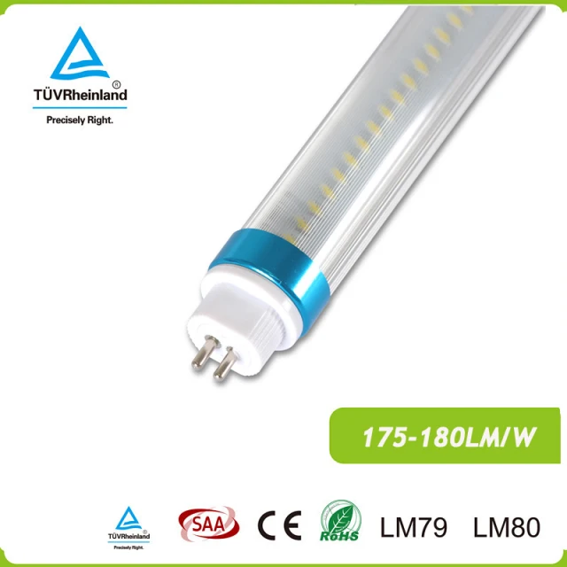 Ultra bright 175LM/W frosted cover direct wire type b t5 led tube g5 TUV SAA CE DLC approved with 5 years warranty
