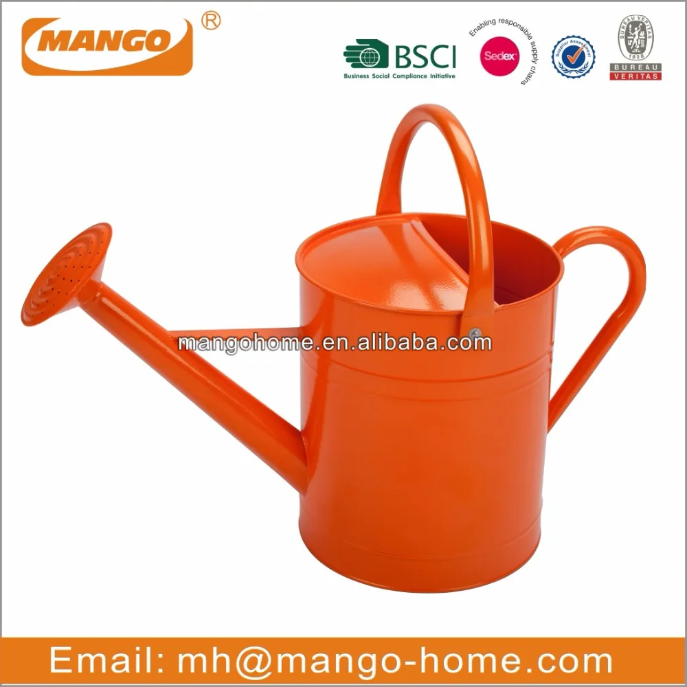 Countryside Garden Watering Can Metal Flower Pot
