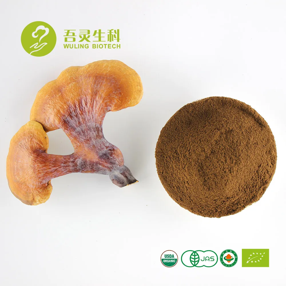 
Dried Lingzhi Ganoderma Lucidum Fruit Body Reishi Mushroom 