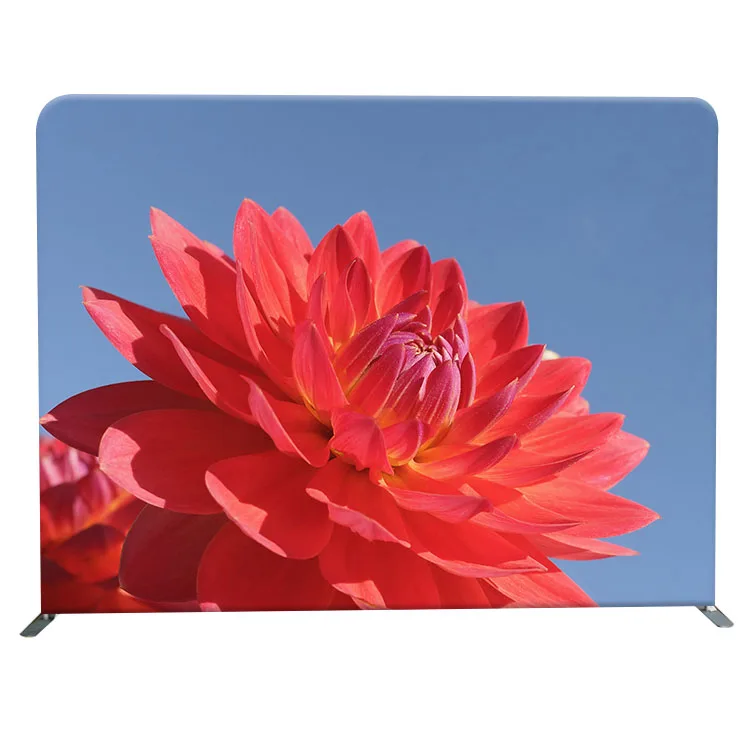 8 Футов Портативный Сплошной Цвет Пользовательский логотип печатная Натяжная ткань фотобудка студийный фон