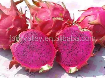 Fruit tree seeds for sale-High Quality High Yield Dragon Fruit Seeds For Growing