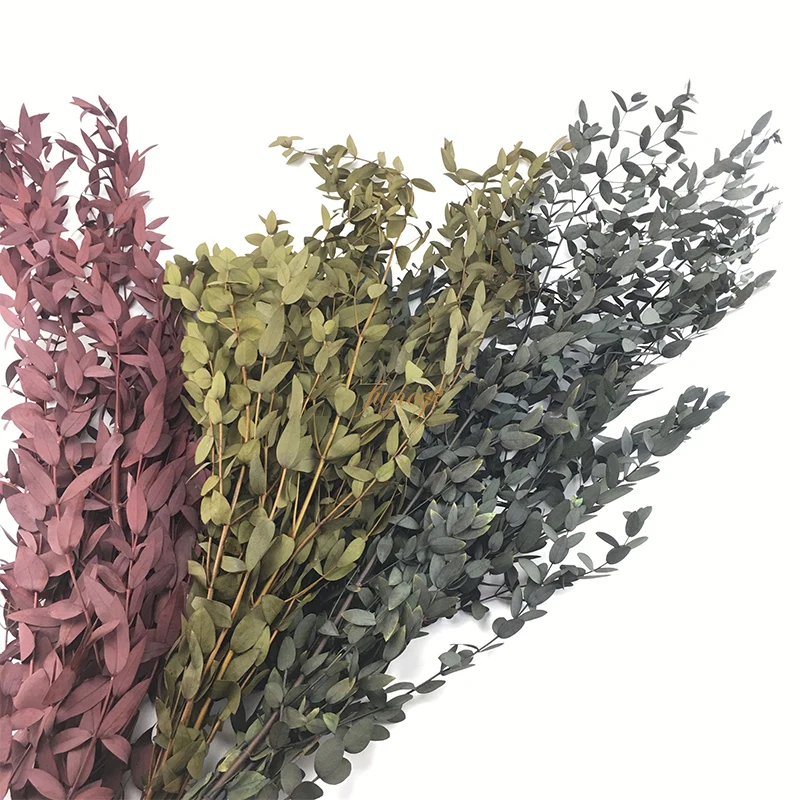 Last 3 Years Natural Flower Leaves Arrangement Dried Preserved Eucalyptus