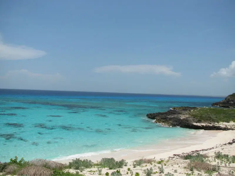  20% skidka na vse lotes