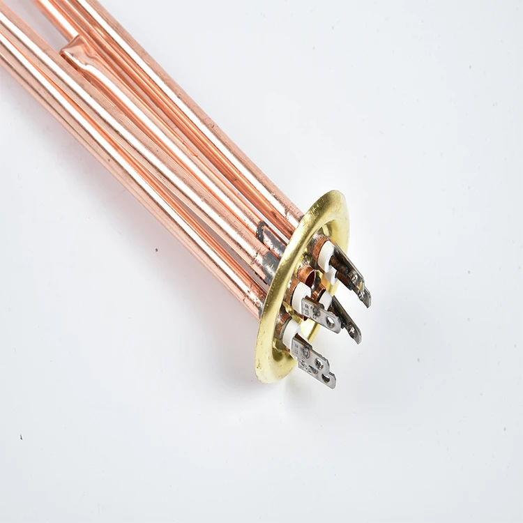 
The popular customize copper water heater 110v small water heater 120v immersion water heater 
