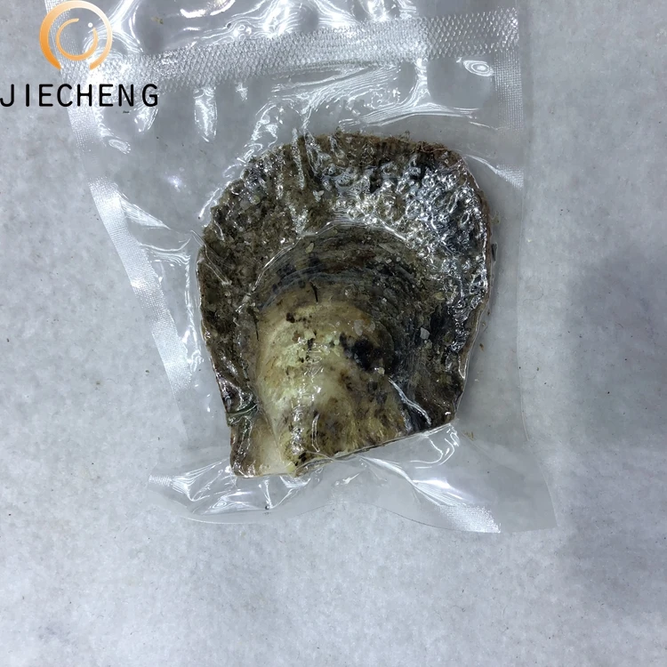 6-8mm akoya pearl oyster wholesale one green pearl oyster shell