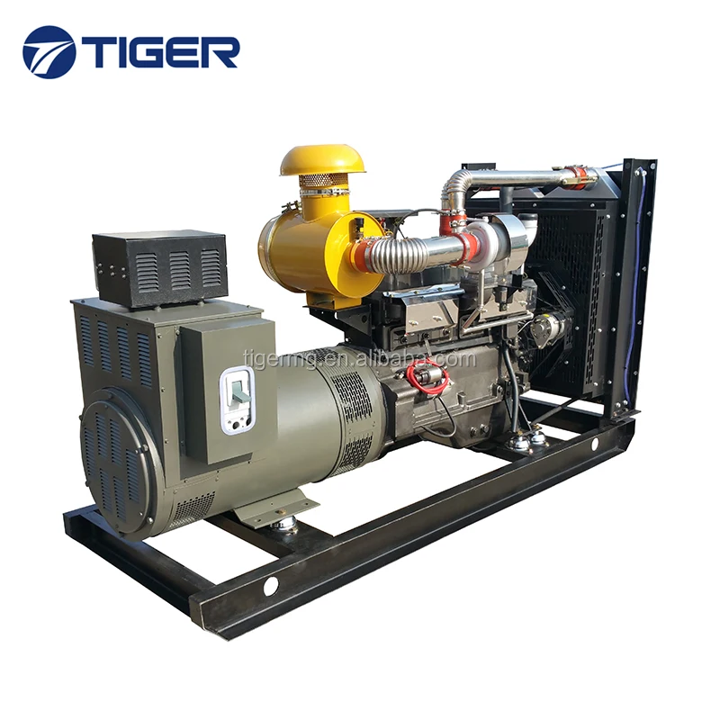 10kw to 1000kw good price durable thunder diesel generator