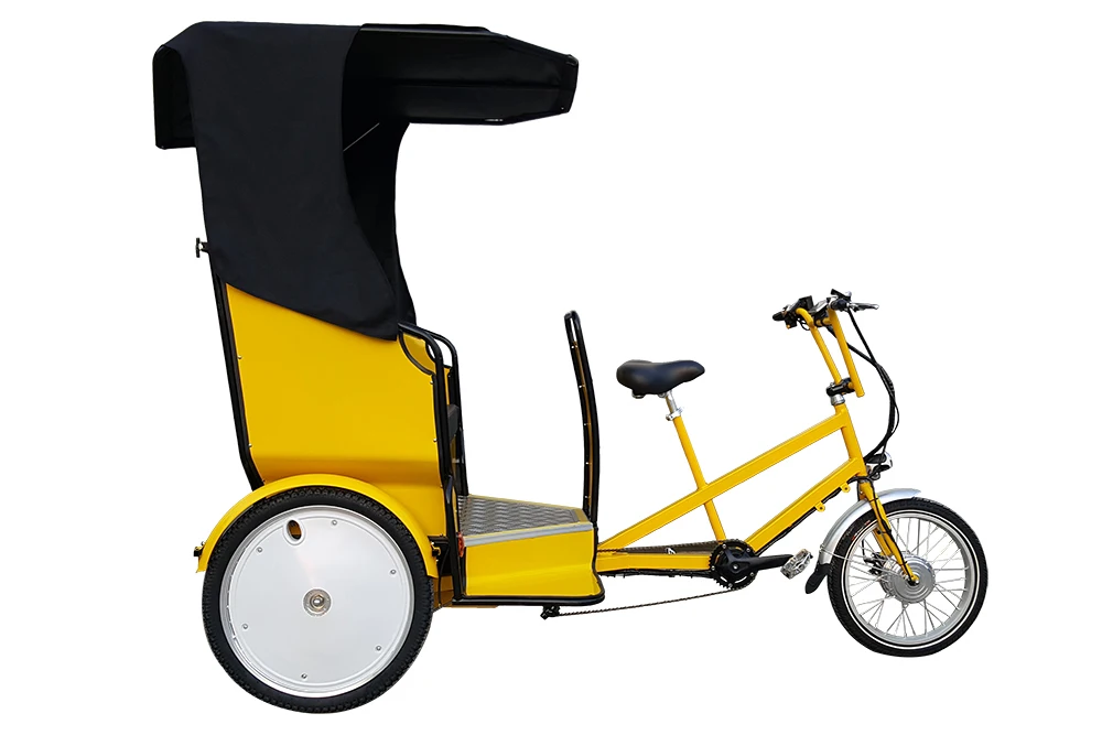 Hot sale 2 Passengers Mini Taxi Electric Assistant Touring Pedicab Rickshaw
