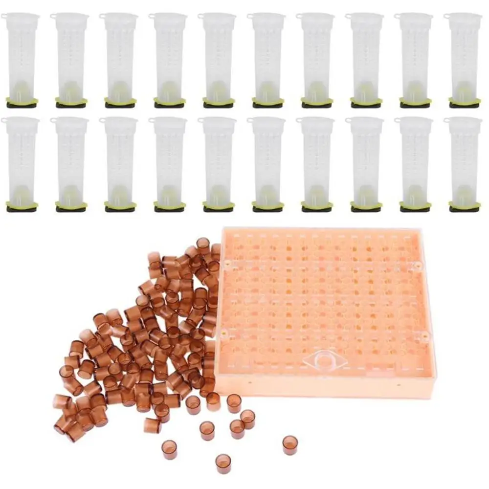 Queen Bee Rearing System For Beekeeping Plastic Cage Tools Apiculture Equipment