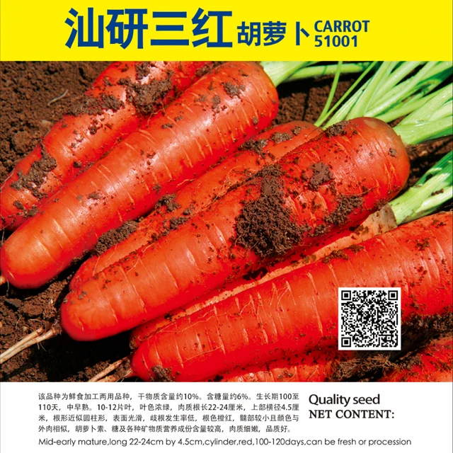 
Suntoday vegetable heirloom F1 hybrid planting carrot seed 1kg/bag 