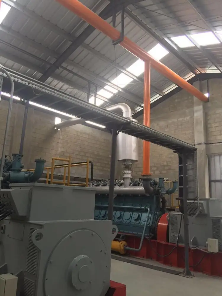 Pig Farm Waste Treatment Biogas Digester Plant