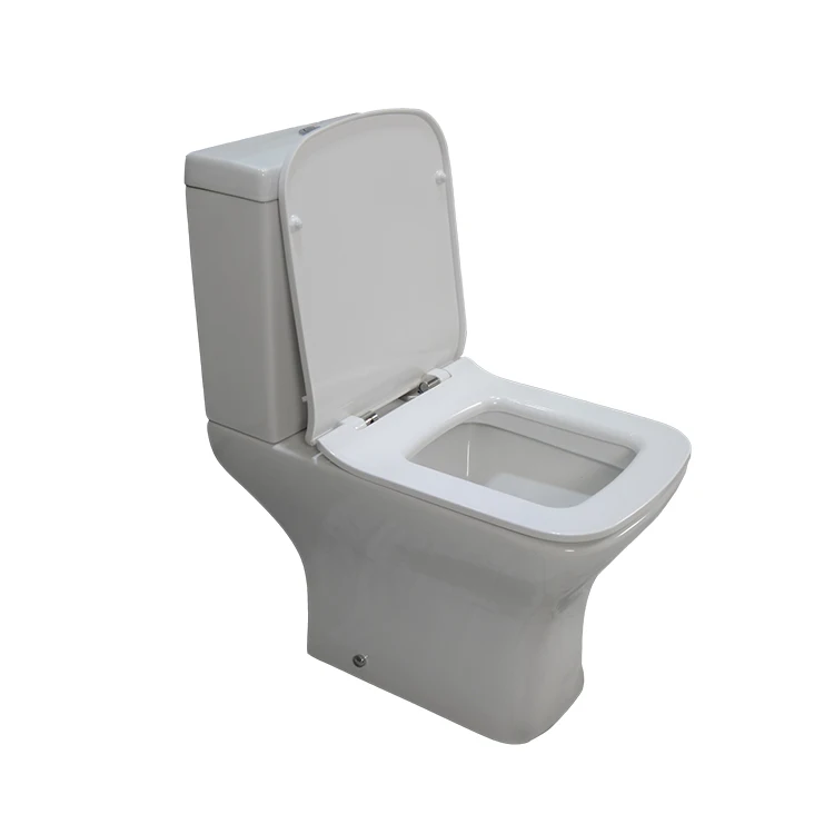 
White Ceramic P Trap Gravity Toilet Pan Two Piece Bathroom Flush Pipe Component Floor Mounted Modern Automatic Deodorization UPC 