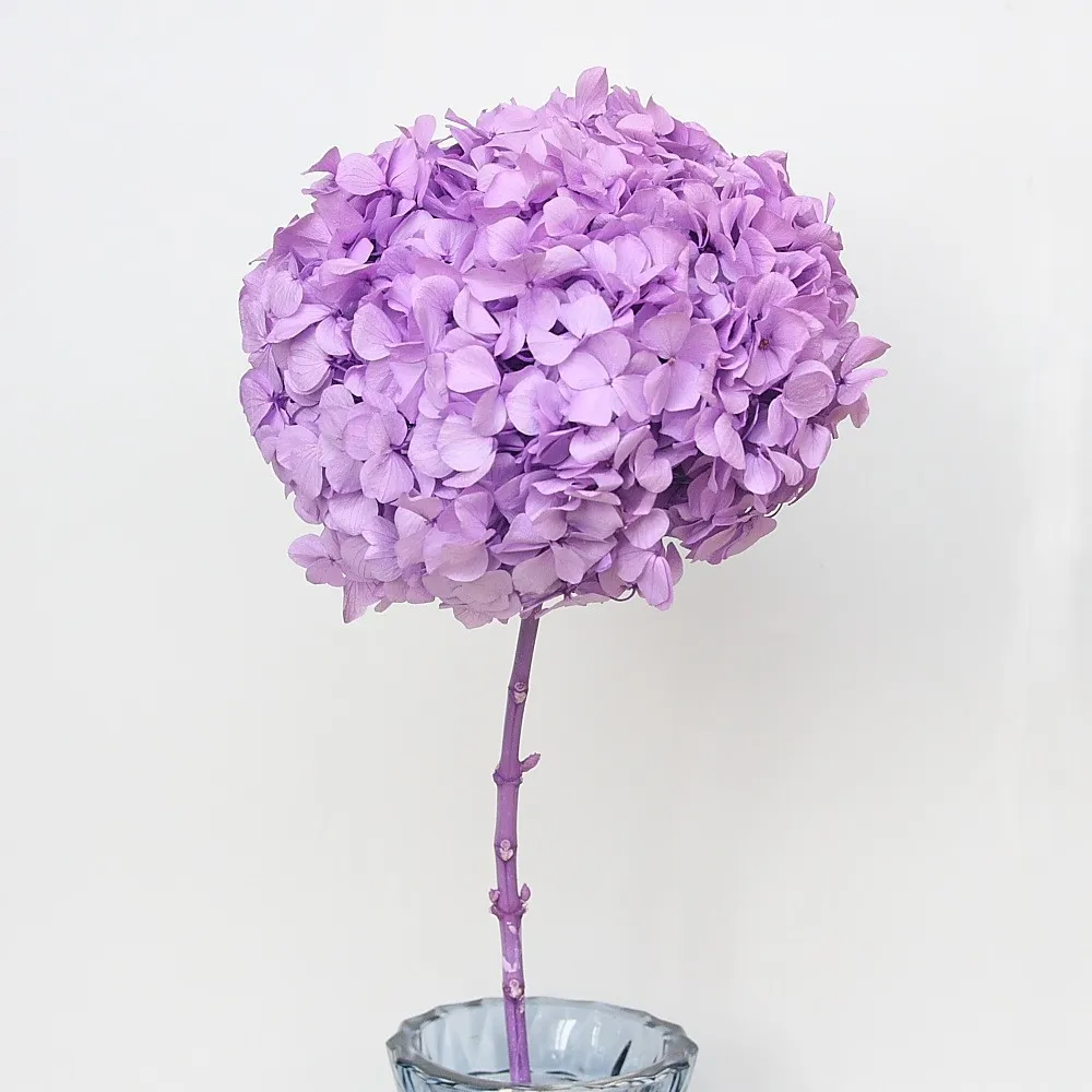China factory supply Wholesale white and pink Hydrangea Flowers Real Touch Hydrangea hydrangea flower