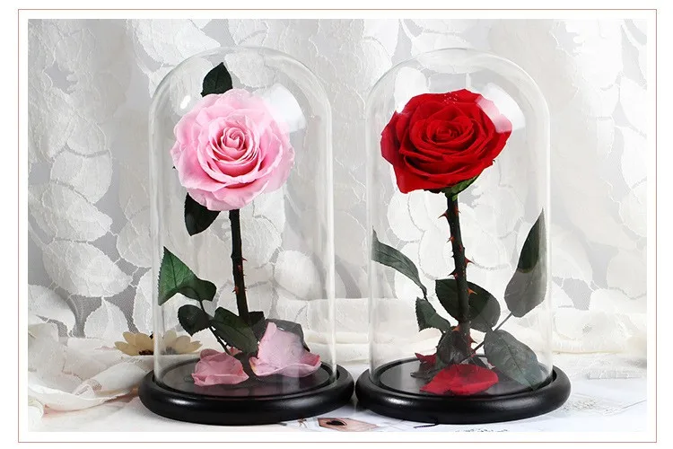 
2021 hot selling preserved long stem roses in glass dome for Valentines gift 
