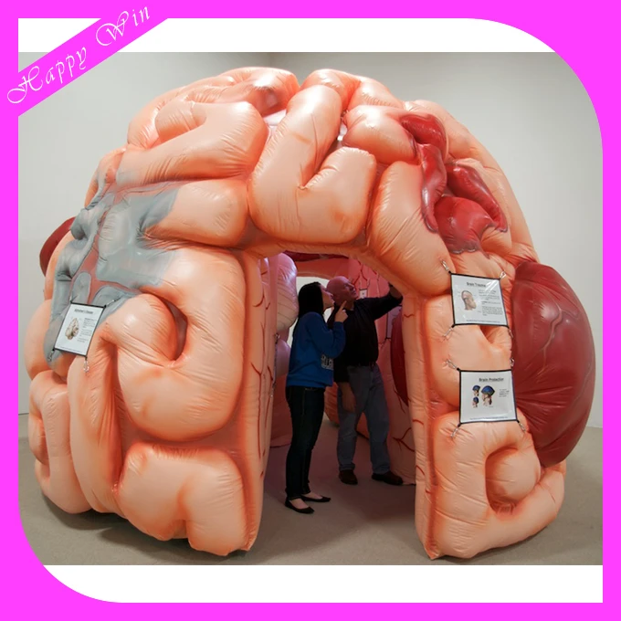 Attractive giant inflatable brain model customized inflatable organ brain model for display