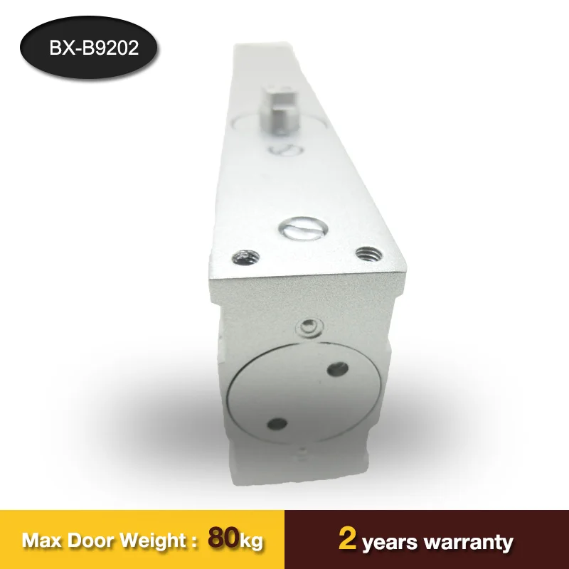 High Quality Aluminium Alloy Heavy Duty Concealed Door Closer /Hidden Door Closer