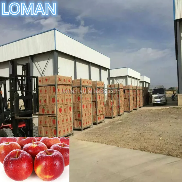 Холодное хранение яблок в Узбекистане