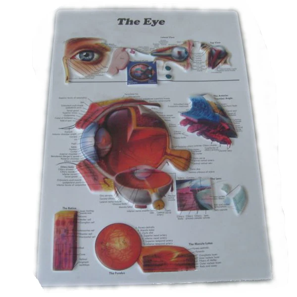 
Offset printing 3d image pvc embossed the eye poster oem service 