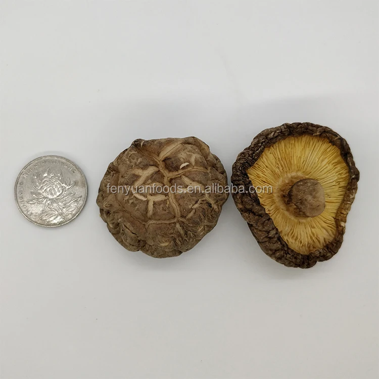 Самые продаваемые продукты свежий гриб shitake