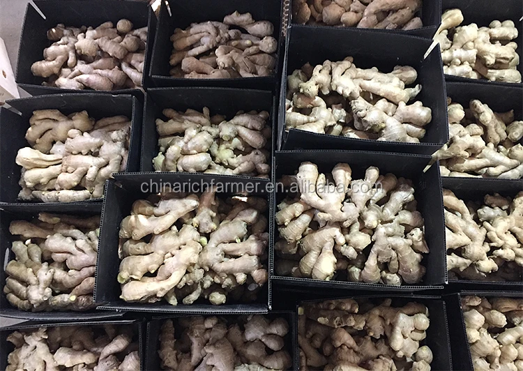 250g Chinese Air Dried Ginger