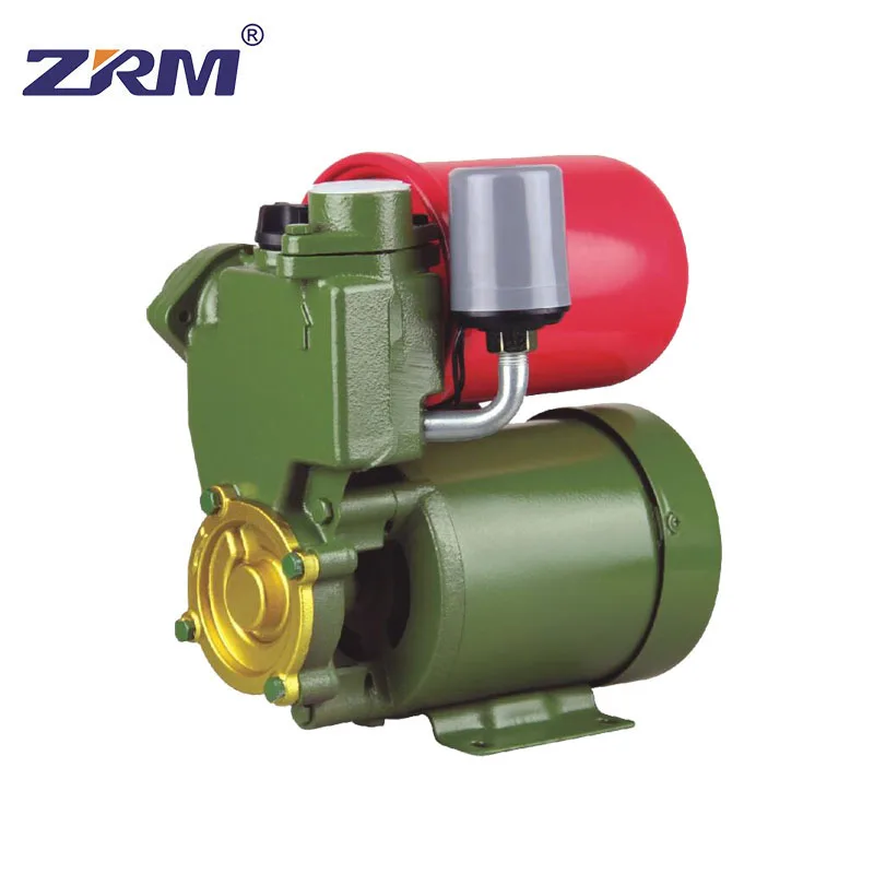 QB60 water pump 220V 0.5HP Electric Surface Peripheral Vortex Water Pump