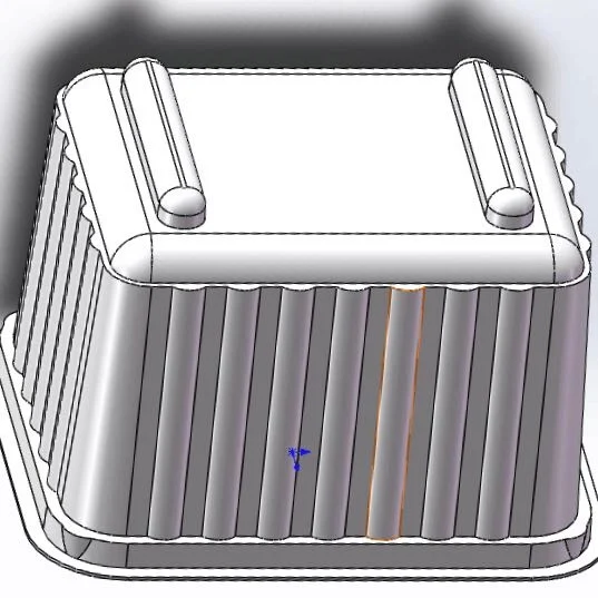 Succulent Microgreen Plant Growing disposable  Plastic Tray Box