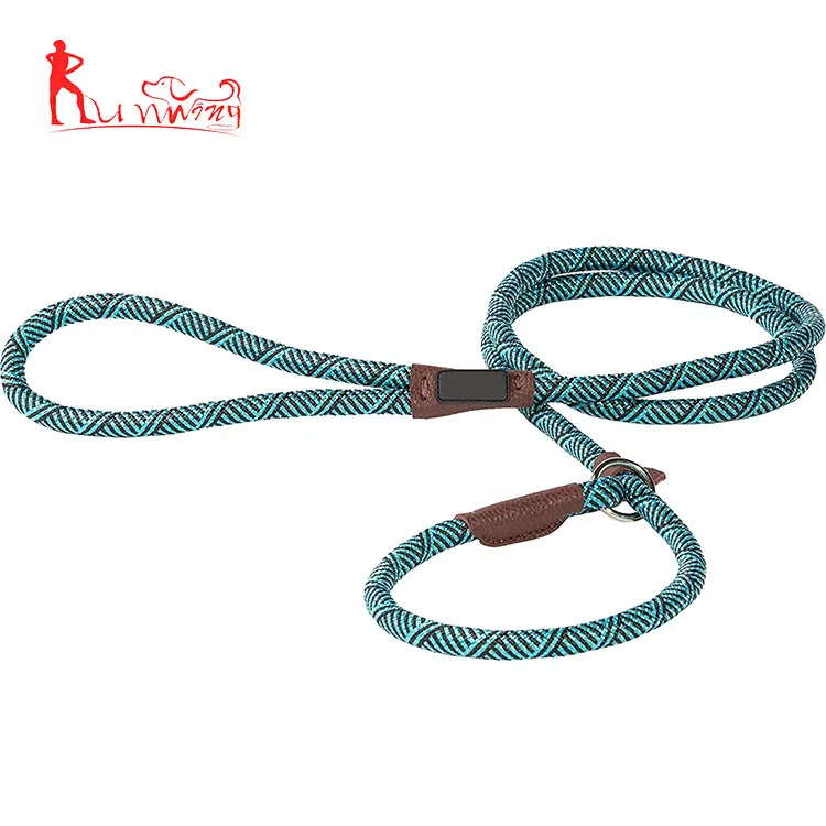 Adjustable mountain climbing loop slip lead for medium dogs, braided lead