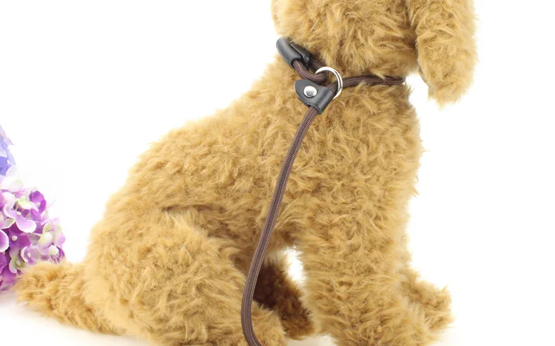 Nylon Dog P Rope Pet Chain Leads Dog Training Leash