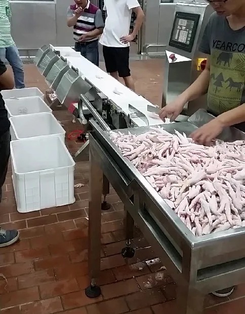 customized levels weight grader,weight sorter JZW-6FX