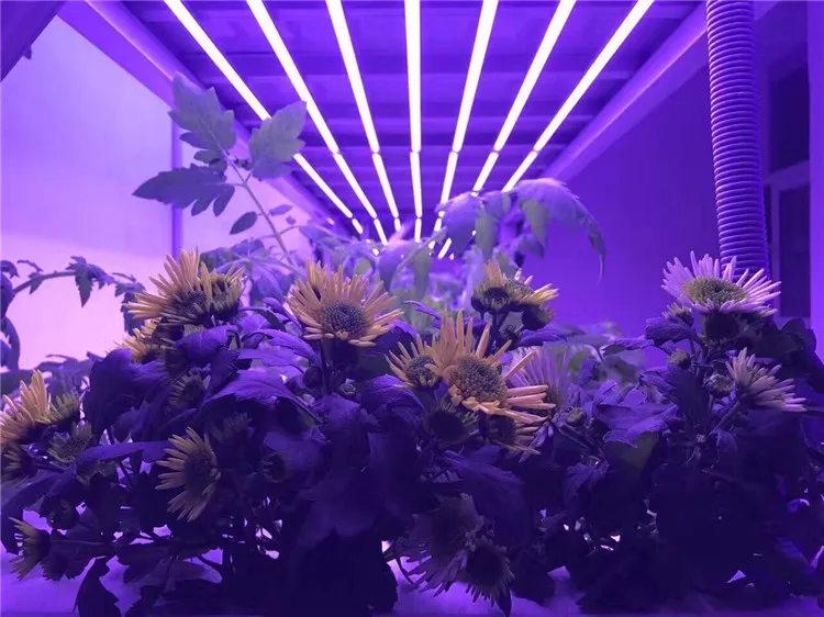 IP44 Waterproof Aluminum Housing 36W 4ft Led Grow Tube Light Diy Plants Lamp