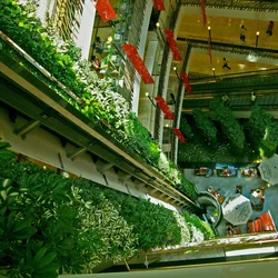 for Hotel Outdoor/indoor artificial climbing wall Decoration plant grass wall artificial green wall for sale