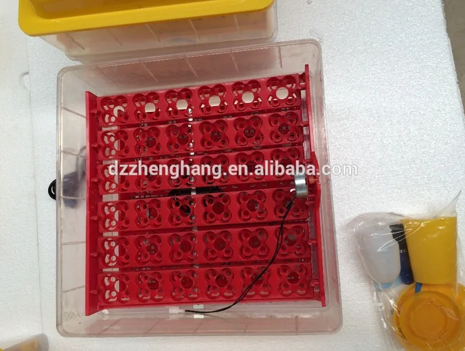 Cheap Mini 72 egg incubator Automatic ZH-72 mini egg incubator for sale in dubai