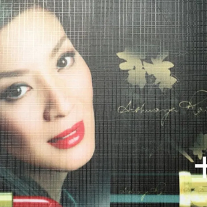 Free Sample Roller by Roller PVC Cold Laminating Film Soft Protective Roll Film for Photography Craft and Industrial Packing