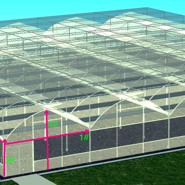 Hot-selling agricultural greenhouses Small greenhouses hydroponic greenhouse systemsare for sale