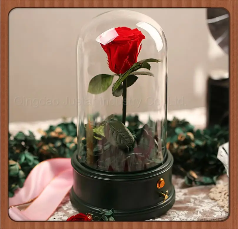 
Bell Jar Small Glass Dome with Wood base \ Taxidermy Glass Butterfly Dome \ Display Tall decorative clear glass bell jar dome 
