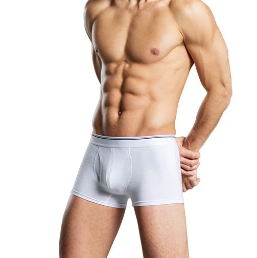 New Design Your Own brand Men Boxer Shorts underwear Manufacturer Blank Brand Supply Wholesale Boxer Briefs