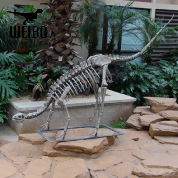Музей искусственный моделирования в натуральную величину Окаменелости Динозавров Скелет