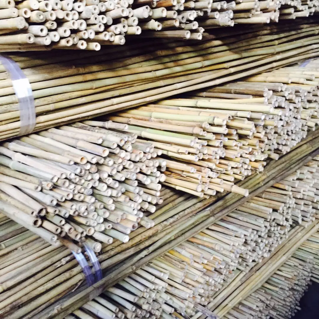 Good price bamboo poles for flower and tree planting with cheap price
