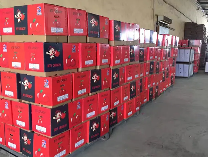 Свежие Яблоки Tianshui hu@ Fuji, поставщик Яблоков в Ганьсу