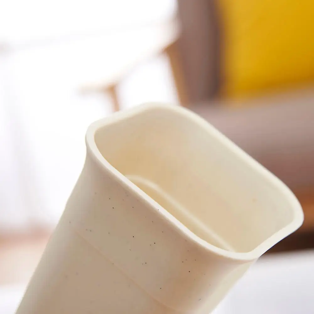 Buy Tall Square White Black Plastic Succulent Planters Haworthia Maughanii Flower Pot